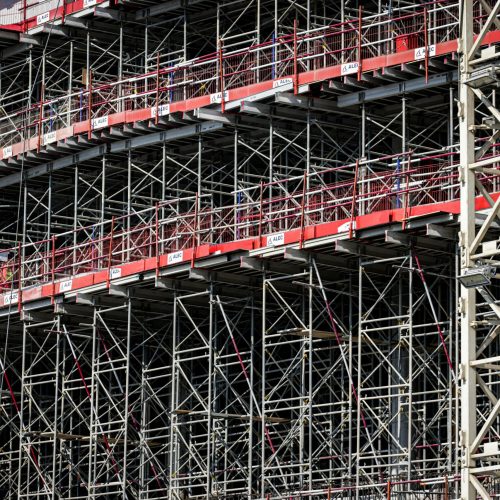 pexels-magda-ehlers-pexels-35155685