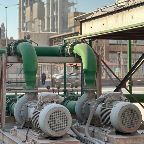 pexels-mumtaz-niazi-18390768-35645884